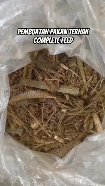 Pembuatan-Pakan-Ternak-Complete-Feed